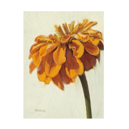 Shirley Novak 'Young Zin Pumpkin' Canvas Art,14x19